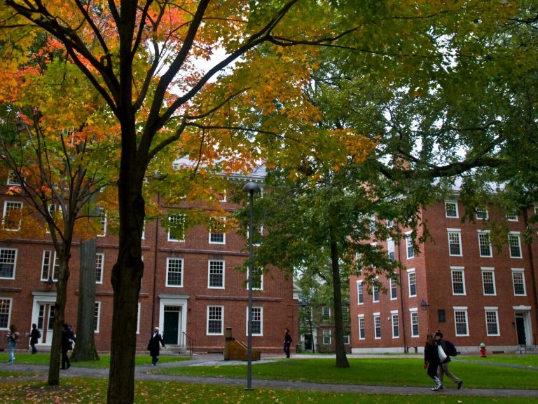 Brick buildings in Harvard Yard