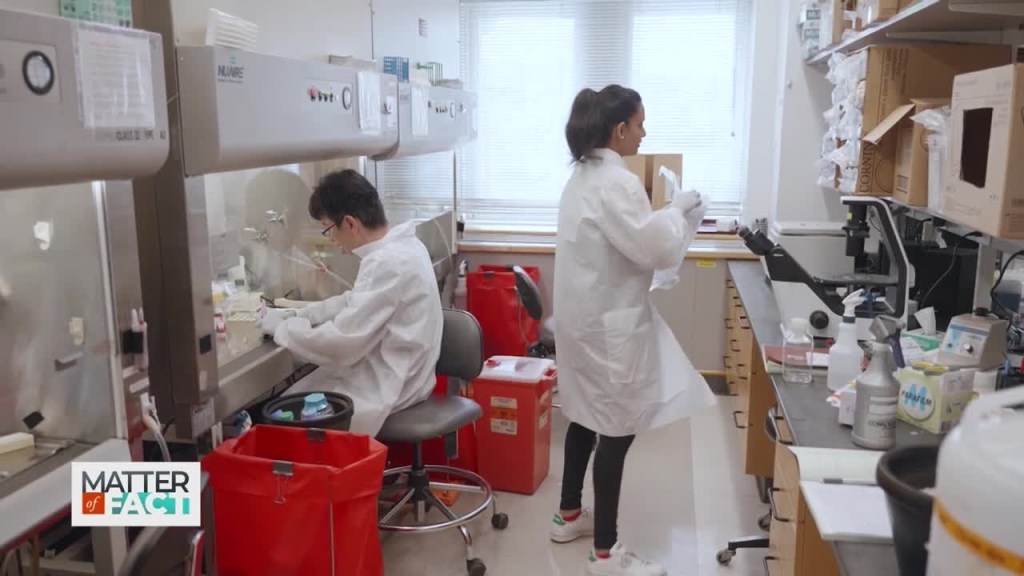 Two researchers in a lab