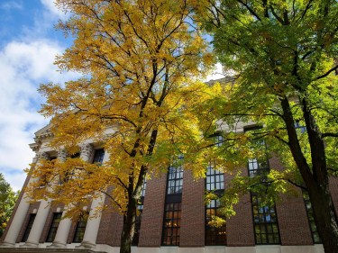 Widener Library on Harvard campus