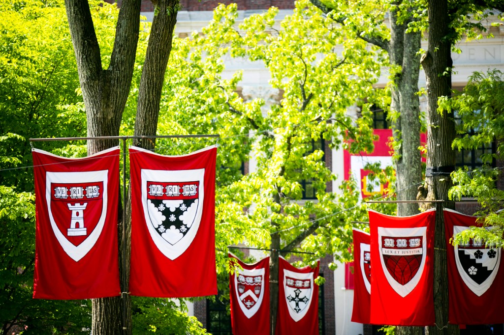 shield banners against green trees.