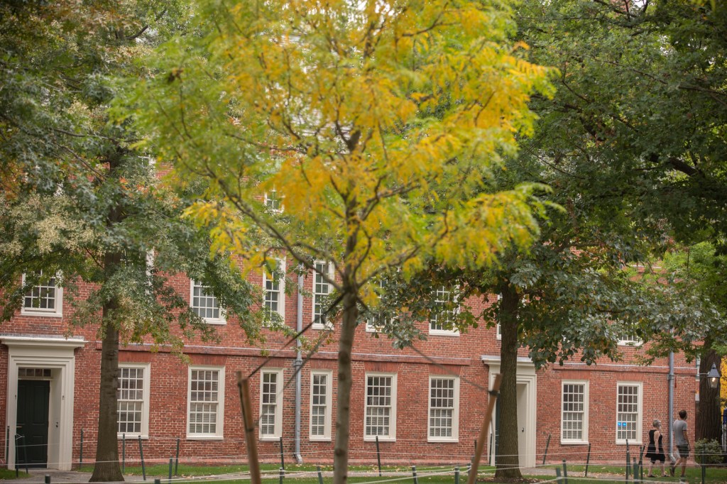 vibrant yellow tree in front of Mass Hall.