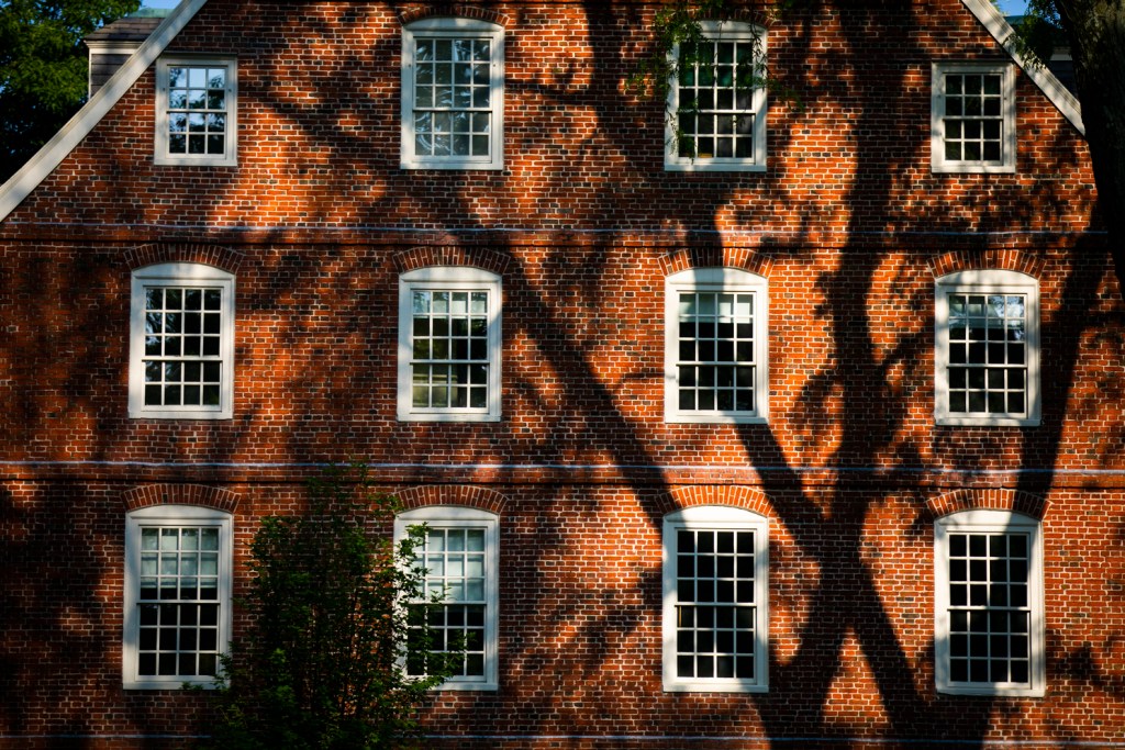 Shadows against a brick building with a dozen windows.