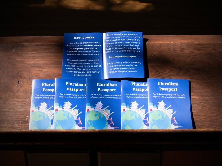 Passports for the Pluralism project