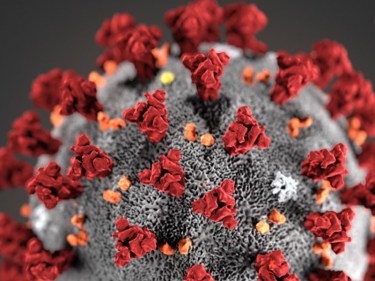 image of the coronavirus molecule.
