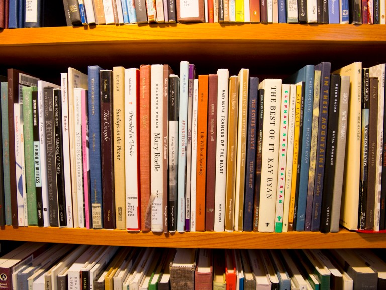 Books on a bookshelf.