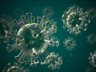 graphic of the coronavirus.