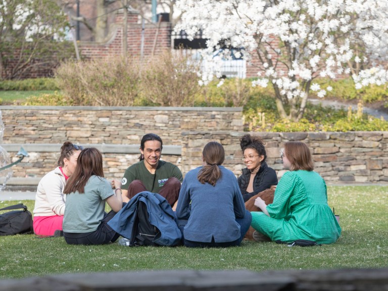 People sit in a circle outside on a lawn