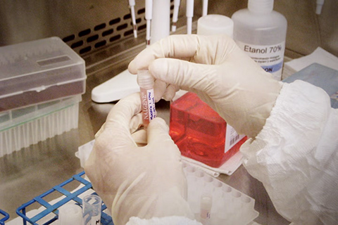Gloved hands handling a test tube in a lab