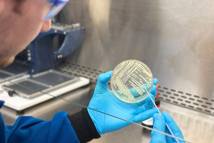 A person in a lab using a petri dish