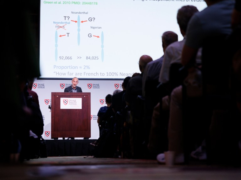 David Reich talking at a podium