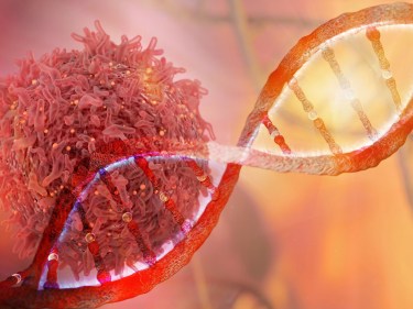 A cancer cell and some DNA