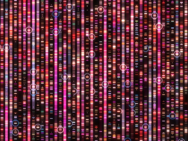 A representation of a human genome which looks like lines of colors
