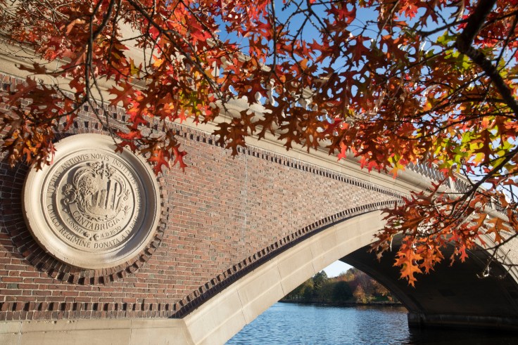 Autumn leaves in front of a brick bridge.